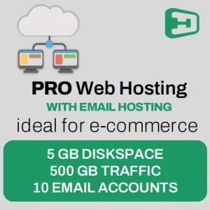 Professional Web Hosting Services